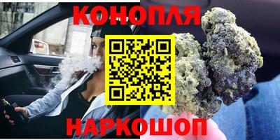 сатива Бузулук