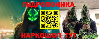 сатива Бузулук
