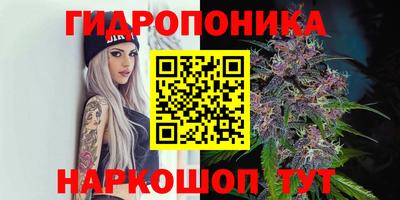 сатива Бузулук