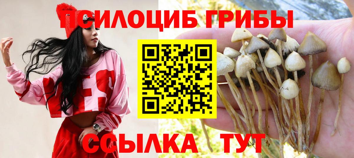 Псилоцибиновые грибы ЛСД  Вход с VPN  Новоуральск 