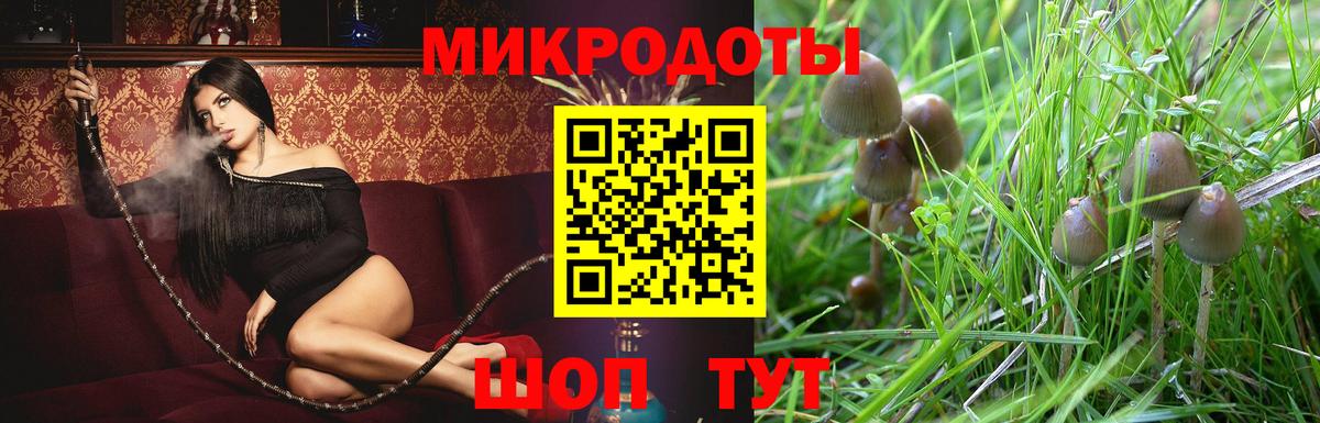 Псилоцибиновые грибы Cubensis Новоуральск